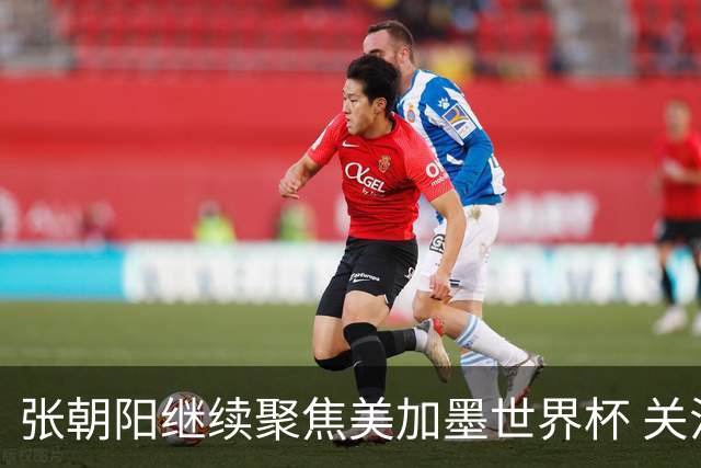 张朝阳继续聚焦美加墨世界杯 关注荷日大战解读日本队精神特质